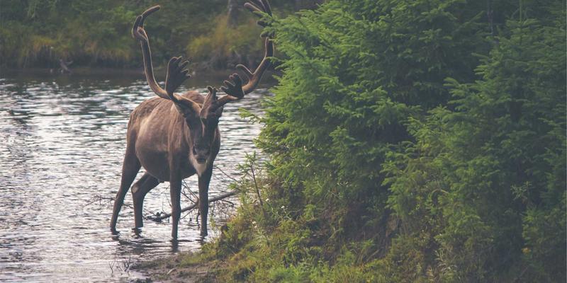 胃食管反流病：症状、原因与治疗全攻略